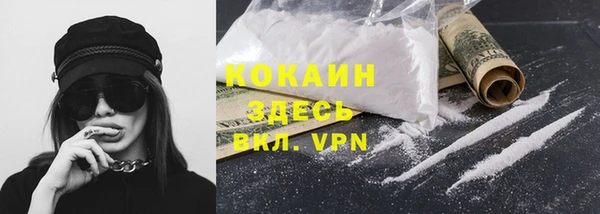 индика Гусев