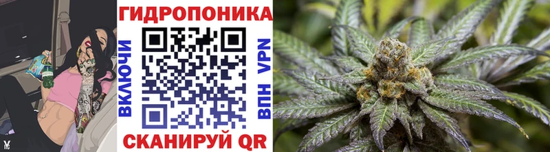 Шишки марихуана VHQ  Зеленогорск 